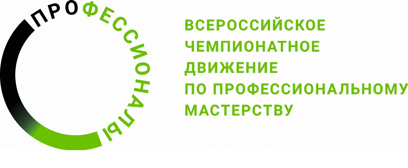 «Чемпионат «Профессионалы».